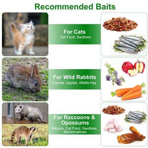 2 Pezzi Trappola per Animali Vivi a Porta Singola 18x8x10 Pollici, Gabbia Pieghevole in Ferro Zincato per Piccoli Animali, Accessori per Scoiattoli e Piccoli Animali - Product Image 3