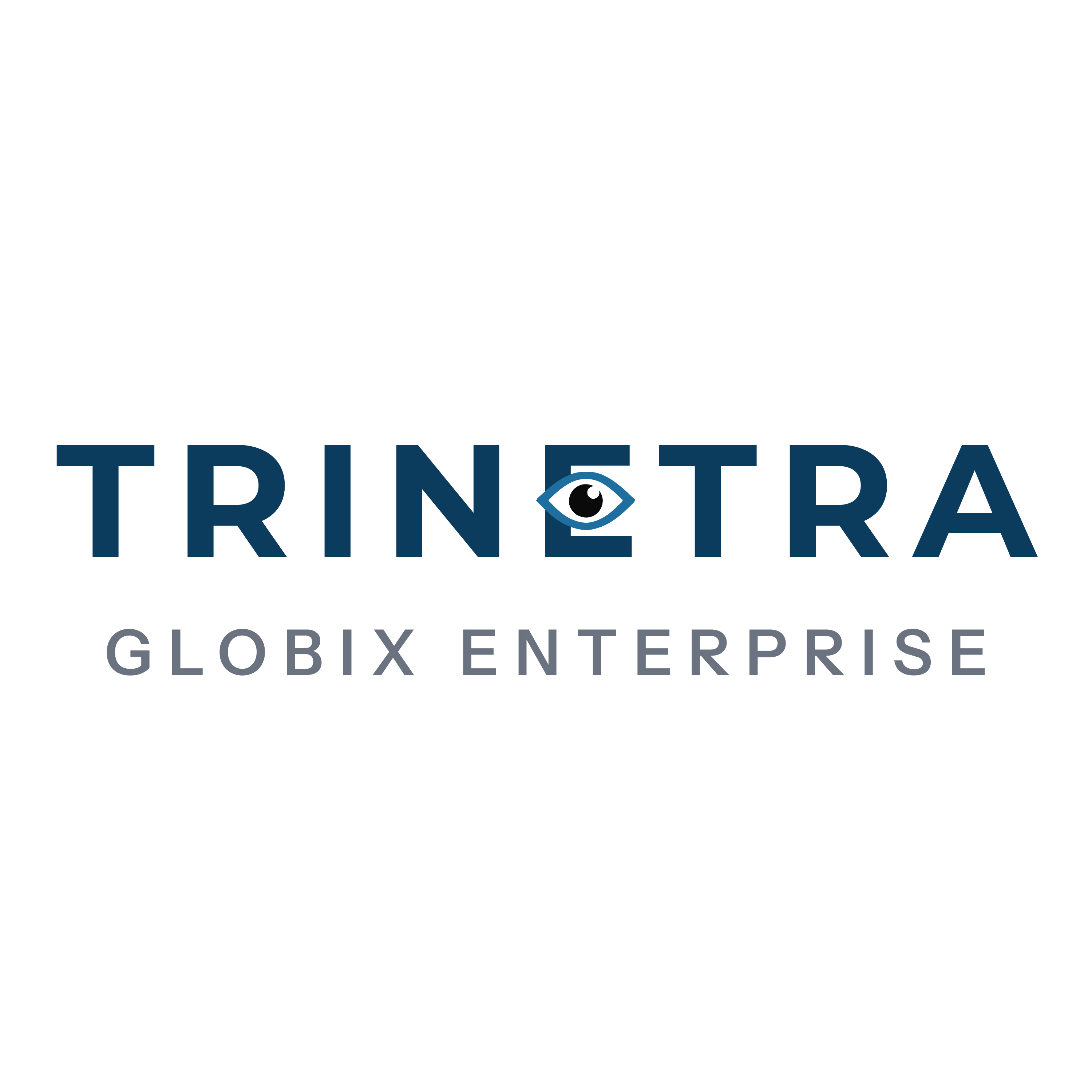 TRINETRA GLOBIX ENTERPRISE LLP logo