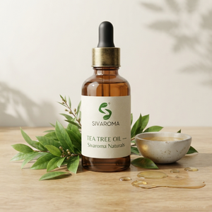Aceite Esencial de Árbol de Té para el Cuidado del Cabello, Cuidado de la Piel, Jabones, Cosméticos, Mezclas Aromáticas y Requisitos de Suministro a Granel - Product Image 4