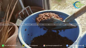 Meilleur prix, haute qualité, bloc de cocopeat de 5 kg à faible EC et pureté de 95 % pour les pépinières et l'amélioration des sols - Product Image 3