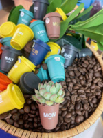 Capsules de café instantané lyophilisé de qualité supérieure, mélange Arabica Robusta, goût neutre, certifié HACCP ISO, 2,0 % de caféine