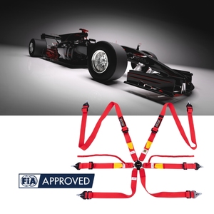 OEM Custom Logo Factory FIA Approved Racing Harness Lightweight Structure 2 Inch Real Motorsport <b>Applications</b> Combining - Product Image 1