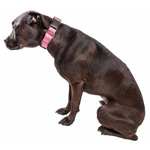 Collare per cani regolabile a doppio lato a 360 gradi in rete Aero e traspirante collare per animali domestici - Product Image 4