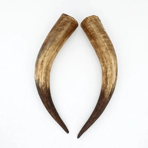Customized Buffalo <b>Decorative</b> Horn Raw Animal Horns India Supplier Home <b>Decor</b> item 2 Pieces Horn <b>Decor</b> - Product Image 5