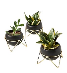 Jardinière élégante en finition cuivre avec un grand support en métal noir pour la décoration intérieure et extérieure de la maison et du bureau - Product Image 4