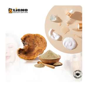 Extracto de Agua de Phellinus Sang Huang - Ingrediente Cosmético Calmante y Anti-Irritante para Piel Sensible - Product Image 1