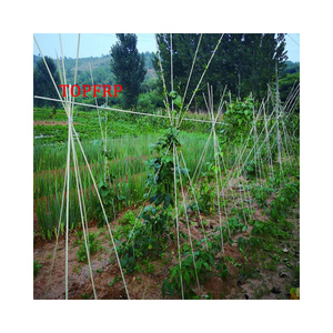 Wholesale Fiberglass Plant Support Stakes for Agricultural Greenhouse Garden Nursery - Product Image 2