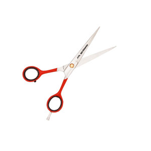 Ensemble de 2 ciseaux de coiffure professionnels pour salon, ciseaux de coupe de cheveux en acier inoxydable pour hommes et femmes, précision et tranchant - Product Image 5