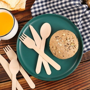 Cuillère en bois de bouleau durable de 155 mm, écologique, jetable, pour la crème glacée, les desserts et la restauration 2026 - Product Image 1