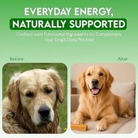 Premium Himalaya Yak Kauwstaafjes voor Honden Extra Hard Langdurig Natuurlijke Kaas Tandverzorgende Kauwstaafjes voor Alle Rassen OEM ODM Private Label