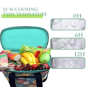 2026 Custom Printing Waterproof Food Storage Picnic Cooler Bag with Shoulder Strap Tarpaulin Insulated Cooler Bag - Product Image 5