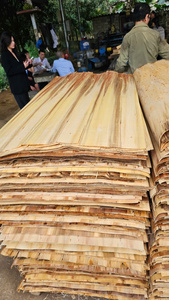 Chapa de Acacia Ecológica y Duradera, Corte Rotatorio, Superficie Lisa, 5-10% de Humedad, Diseño Industrial para Tableros de Madera Contrachapada para Muebles - Product Image 6