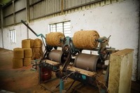 Bloc de fibres de coco naturelles biodégradables à haute rétention d'eau, respectueux de l'environnement, pour la culture des plantes