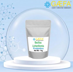 Polvo de Bacillus Licheniformis de Grado Alimenticio, Probiótico para la Salud Intestinal Animal, Aditivo para Alimentos - Product Image 3