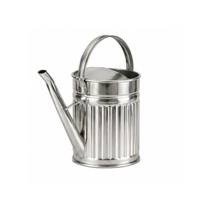 Vintage Stylish Metal Water <b>Cane</b> Home <b>Garden</b> Decorative Outdoor Use Watering Can - Product Image 3