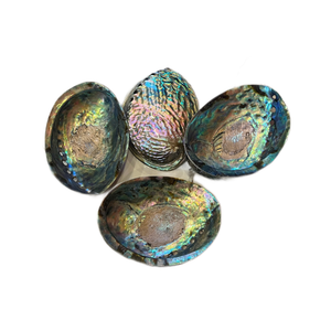 Vietnam <b>Abalone</b> <b>Shell</b> Natural Material for Jewelry Making Decorative Inlay Craft Accessories Art Projects and Gift Sets - Product Image 3