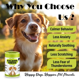 Masticables Calmantes para Perros, Gatos, Cachorros y Gatitos, 20 Masticables Blandos, Fórmula Personalizada, Fabricante de Suplementos para Mascotas OEM ODM - Product Image 4
