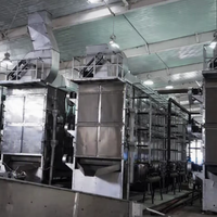 Industriële fruit- en groentedroger Automatische roestvrijstalen heteluchtdroogmachine Verwerkingsinstallatie met hoge capaciteit