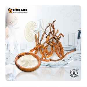 ผงเห็ดถั่งเช่าสีทอง LiGNO OCS02 |   อาหารเพื่อสุขภาพเกรดอาหาร อบแห้งแบบเย็น |   การผลิตแบบ OEM/ODM |   เครื่องดื่มเพื่อสุขภาพ - Product Image 1