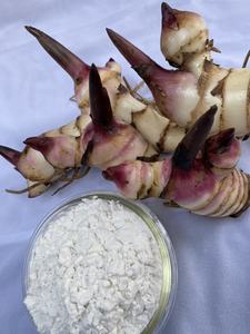 ผงรากข้าวเหนียวออร์แกนิกคุณภาพสูง ผลิตในเวียดนาม - Product Image 2