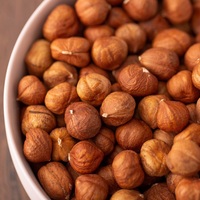 Noisettes grillées salées biologiques de haute qualité, noisettes séchées biologiques brutes pour la vente en gros alimentaire, noisettes salées savoureuses