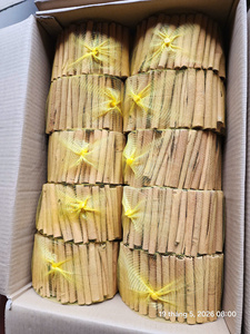 TECHMIFOOD Pimienta de Jamaica en Rodajas, Cigarrillos de Especias, Corteza de Cassia Cruda Seca, Hierba Especiada Individual, Más Vendida, Origen Vietnam, 10kg - Product Image 6