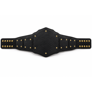 Custom Championship <b>Belt</b> Straight Form <b>Wrestling</b> Boxing MMA Metal Title Plates Brand TRX-WS042 Unisex Personalized Logo OEM 2.2m - Product Image 6