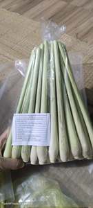 Premium Frozen <b>Lemongrass</b> Stalks IQF Food Grade Bulk Supply - Product Image 2