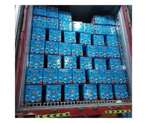 Pitaya Seca Premium de Vietnam - Proveedor de Fábrica - Pitaya Seca Suave y Dulce para el Mercado de Snacks Saludables - Product Image 6