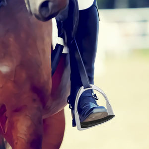 Estribos de Montar a Caballo de Acero Inoxidable, Ligeros, Nuevo Diseño Personalizado - Product Image 6