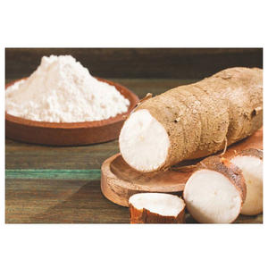 Almidón de yuca orgánico para panadería, fideos, salsas, confitería y producción industrial con empaques a granel para compradores en todo el mundo - Product Image 3