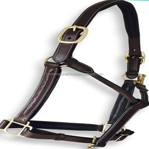 High End English Leather Fancy Stitched Brown Padded Horse <b>Halter</b> for Riding With Brass Hardware Equestrian Horse Show <b>Halter</b> - Product Image 6