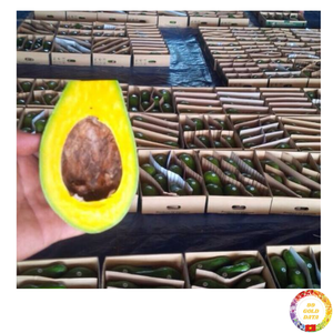 Fruit d'avocat bio frais texture crémeuse de première qualité idéale pour les smoothies guacamole provenant directement du Vietnam - Product Image 1