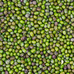 Wholesale cheap supplier of Hot selling Green Mung <b>Beans</b> Vigna Mung <b>Beans</b> Premium Quality Conventional Natural Mung <b>Beans</b> Green - Product Image 1