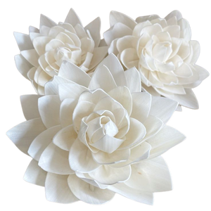 Fleur de Dahlia Sola Biologique Tendance et Très Demandée pour Événements, Décoration Intérieure, Halloween, Remise de Diplôme, Noël, Nouveauté 2026 - Product Image 1