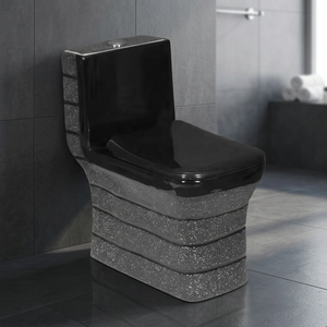 WC monobloc Vistaar Designer à chasse d'eau siphonique en céramique, à double chasse, à poser au sol, pour salle de bain et lavabo de luxe modernes - Product Image 6