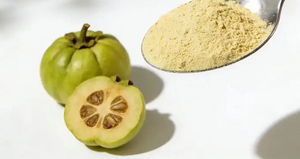 Extracto de Garcinia Cambogia en Polvo de Primera Calidad, 50%-60% HCA, Grado Alimenticio, a Granel, Suministro de la India - Product Image 3