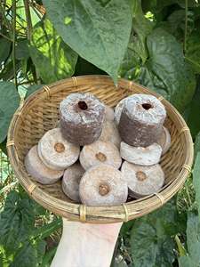 จำหน่ายผงใยมะพร้าวอัดเม็ดจากโรงงานโดยตรง ขนาดตามสั่ง เป็นมิตรต่อสิ่งแวดล้อม สำหรับการปลูก - คุณทารินา - Product Image 6