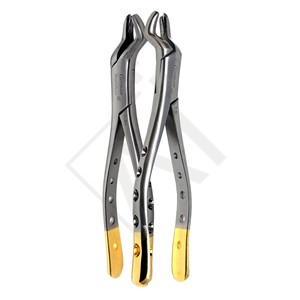 Forceps d'extraction dentaire plaqué or de qualité supérieure pour molaires supérieures droites, pinces d'extraction en acier inoxydable, instruments chirurgicaux buccaux - Product Image 4