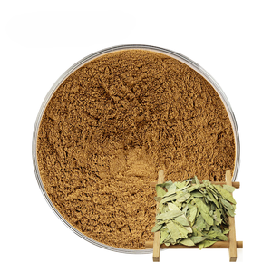 Poudre de feuilles de séné 100 % naturelle, pure, de qualité alimentaire, fournisseur en gros, favorise le processus de détoxification naturelle et la digestion - Product Image 4