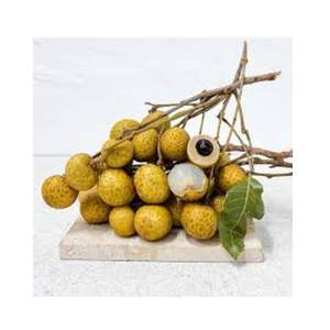 Fresh Longan Fruit-La mejor fruta fresca de Vietnam con estándar de exportación - Product Image 4
