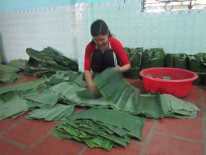 Hojas de Plátano Congeladas de Vietnam, Frescas de Fábrica, Hojas Verdes Naturales para Envolver Alimentos, Cocinar y Exportar - Product Image 3