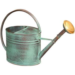 Arrosoir de jardin en métal avec revêtement en poudre, corps résistant aux intempéries et durable pour l'entretien extérieur à long terme du jardin - Product Image 3