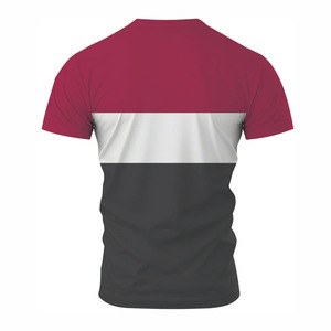 Camiseta Deportiva Ecológica para Hombre, Bordada, de Secado Rápido, Transpirable, para Entrenamiento, Fitness, Deportes, Ropa Deportiva Ligera - Product Image 2