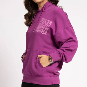 Hoodie Brushed Fleece Oversized Casual Winter Sweatshirt Women's Soft Cotton Hoodie Classic Pullover Everyday Hoodie - Product Image 6