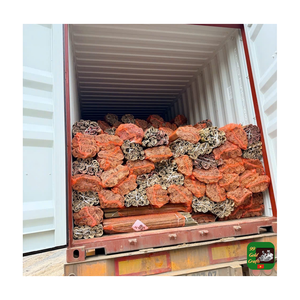 Tiras de bambú secas largas de plástico, virutas de bambú o bambú partido, bambú partido de tamaño personalizado más vendido para estructuras de cometas - Product Image 2