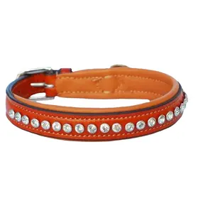 Exclusive Premium Quality Fancy Soft Padded Leather Dog Collar With Crystal/Rhinestone Stud Top Supplier Manufacturer In India