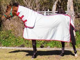 Mantas de verano para caballos con el mejor ajuste y al precio más bajo - Product Image 4