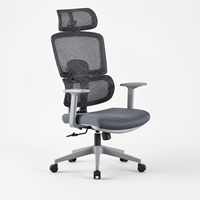 Nouvelle chaise de bureau ergonomique en maille 2026 avec support lombaire réglable en hauteur pour le bureau et le lieu de travail