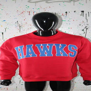 Sudadera HAWKS RED con cuello alto, 100% azul cielo, con apliques bordados, cuello ancho, CLUSH SPORTS - Product Image 1